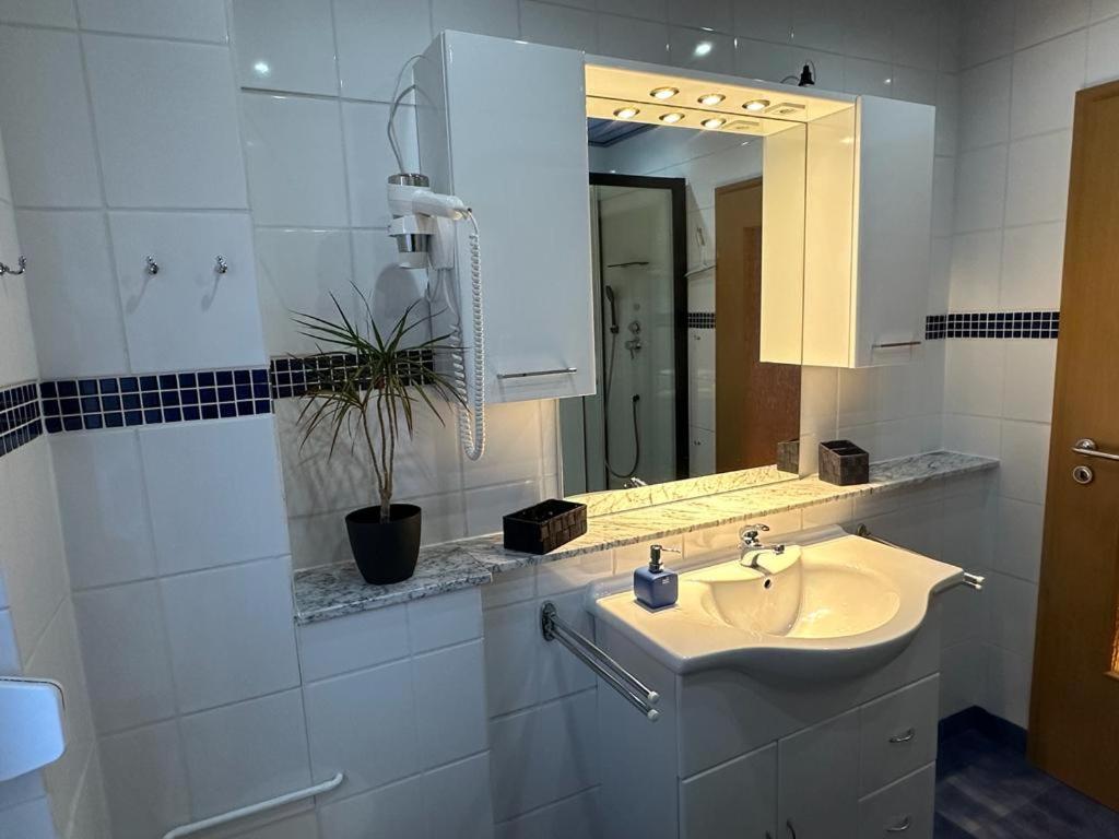 Christels Ferienwohnung 2 In Thale Mit Ueberdachter Terrasse, Kueche Mit Tv & Geschirrspueler Exterior foto